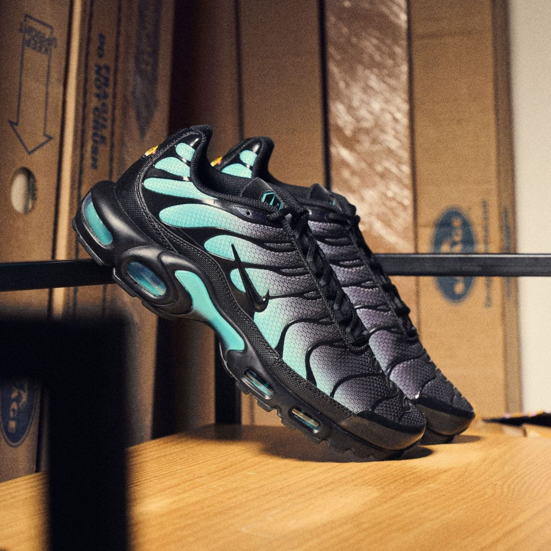 Nike Air Max Plus Black Dusty Cactus - DM0032-016